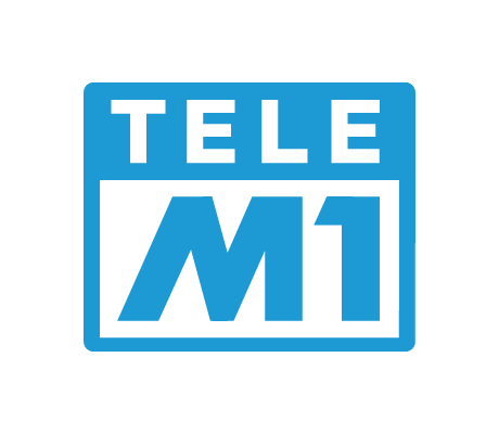 kundenlogo_telem1
